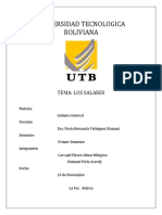 Informe Quimica Salares