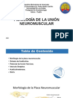 Fisiologia Neuromuscular