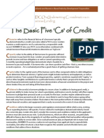 The 5 Cs of Credit Underwriting 2010-06