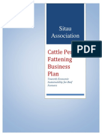 Feedlot Production Business Plan-2021