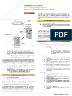 Unit 7 - Part 2 - (Lip Makeup) S PDF