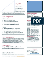 Capabilities Statement Template