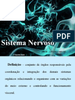 12 Aula Sistema Nervoso