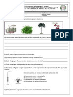 Atividade Complementar - Reino Vegetal