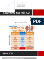 Clase 05. Sindrome Nefrótico