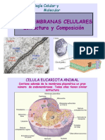 2 - MEMBRANA PLASMATICA Estructura y Función