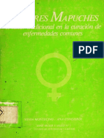 Libro Mapuches