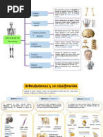 Mapa Conceptual Del Sistema Oseo 5