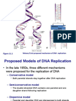 Molecular Biology Presentation