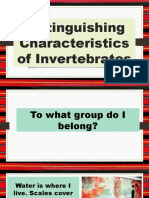 Distinguishing Characteristics of Invertebrates