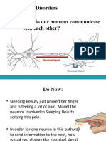 Chapter 8 Neurological Disorders