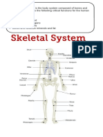 Digestive System