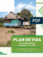 PDV - CN Diamante PDF