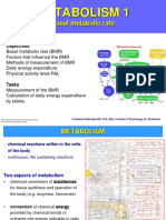 Metabolism 1 1819