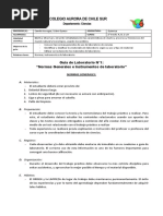 Colegio Aurora de Chile Sur: Guía de Laboratorio N°1: "Normas Generales e Instrumentos de Laboratorio"