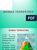 Aula 2 - BIOMAS TERRESTRES