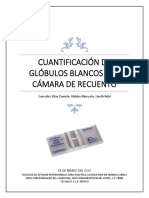 Reporte de Cuantificación de Glóbulos Blancos