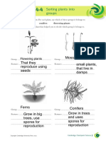 Editado - Worksheet - U4.4 PDF