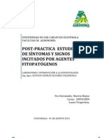 Estudio de Síntomas y Signos Inicitados Por Agentes Fitopatogenos