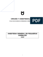 8-Guia de Anestesia Subrayado