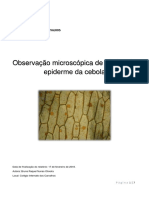 Observação Microscópica de Células Da Epiderme Da Cebola