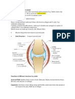 Joints and Muscle Movement Final