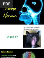 Sistema Nervoso