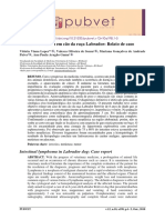 Linfoma Intestinal em Catildeo Da Rac