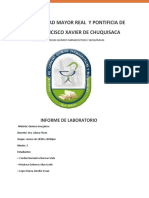 INFORME DE LABO-WPS Office