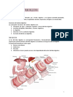 Generalidades Del Tubo Digestivo