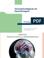 Apresentação de Slides Neuroanatomia - Primeira Parte