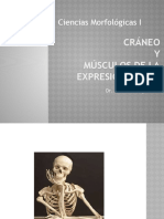 Ciencias Morfológicas I: Cráneo Y Músculos de La Expresión Facial