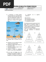 Prueba Elementos de Los Ecosistemas