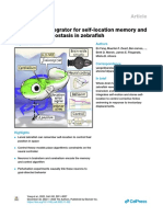 A Brainstem Integrator For Self-Location Memory and Positional Homeostasis