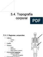 Topografia Corporal