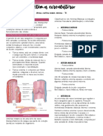 Sistema Circulatório: Função