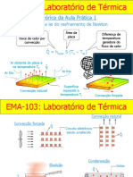 Fundamentação Teórica Da Aula Prática 1: Convecção Térmica e A Lei Do Resfriamento de Newton