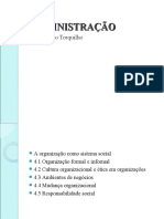 A Organizaaao Como Um Sistema Social