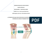 Proyectofinalsociales