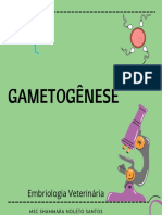 Gametogenese Oogenese