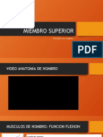 Miembro Superior - Pruebas