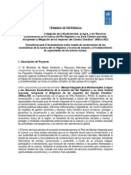 Terminos de Referencia Manejo Rio Higuamo 2022