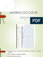 Enterococcus 2020