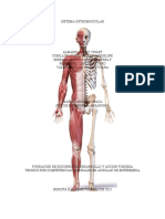 Sistema Osteomuscular