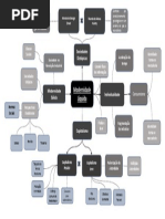 Mapa Conceitual