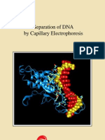 Capillary Electrophoresis