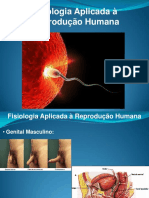 @biomedicina - BR - Fisiologia Aplicada A Reprodução Humana