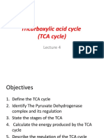 Cho L4 (Tca) 2020-2021