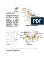 Anatomía de La Región Inguinal