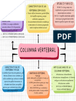 Columna Vertebral